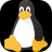 Linux Penguin icon