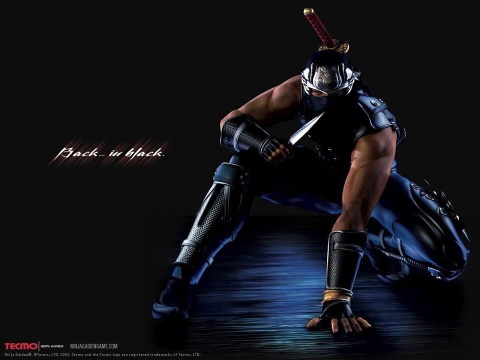 Ninja Gaiden Black 2 Ryu Hayabusa key art in combat pose