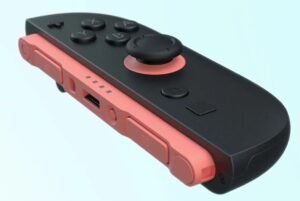 Nintendo Switch JoyCon.