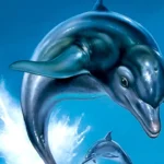Ecco the Dolphin leaping out of the water with the camera focused mid-air.