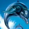 Ecco the Dolphin leaping out of the water with the camera focused mid-air.