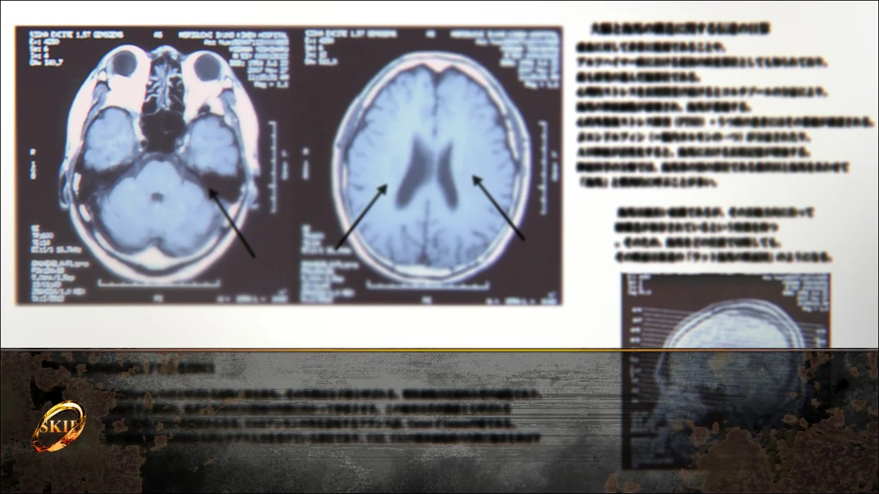 Steins;Gate 0 skip function interface during dialogue