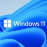 Windows 11 logo over the new signature blue flowing background.