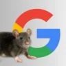 A visual representation of the Google Prism browser RAT showing a rat next to the Google logo.