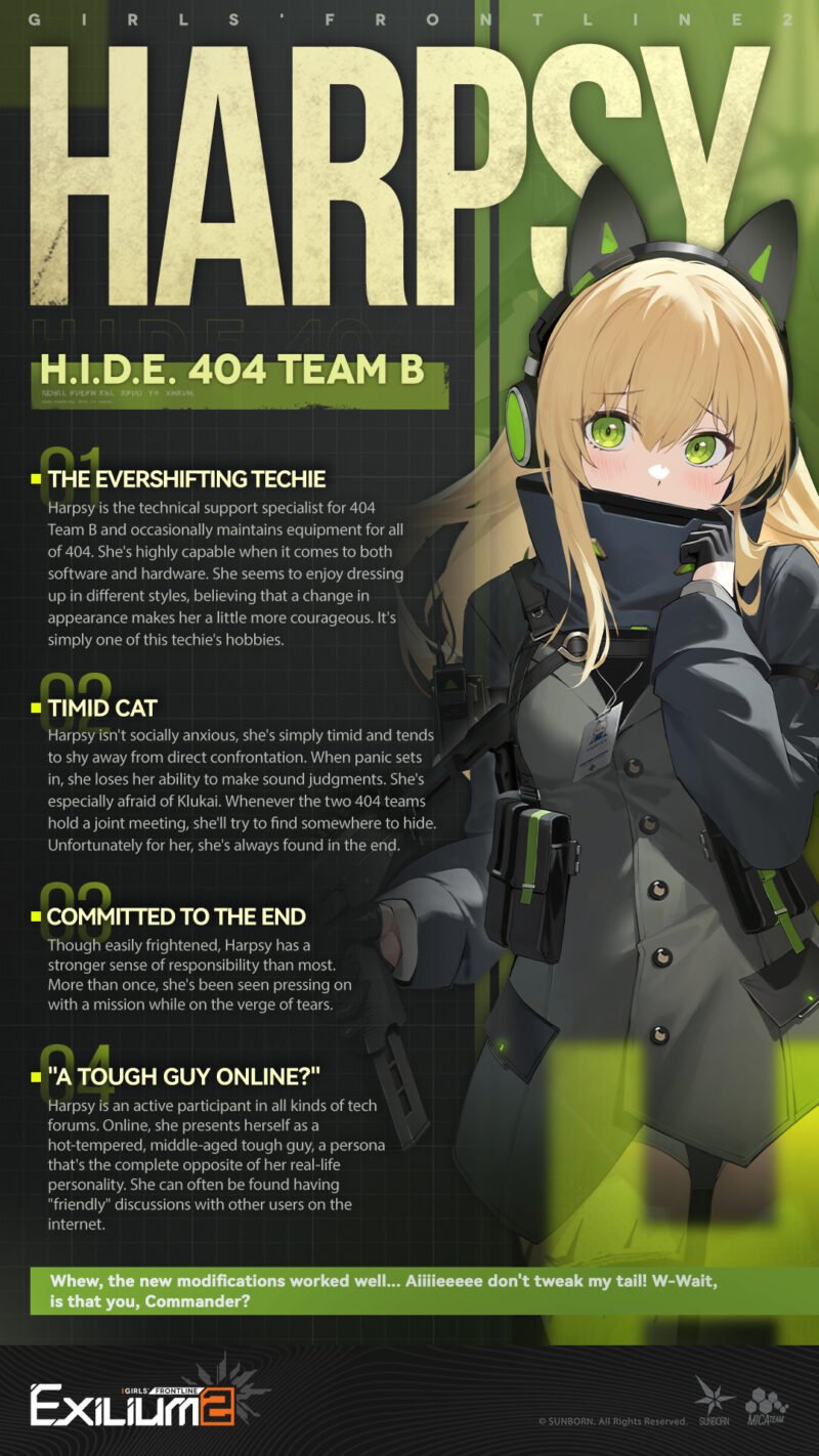 Harpsy (Steyr TMP) 404 Team B tactical overview profile sheet.